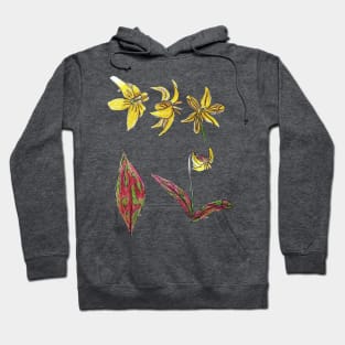 Trout Lily Wildflower Anatomy Hoodie